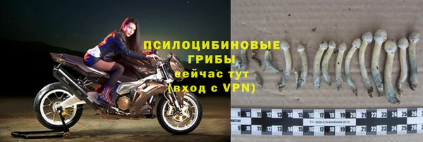молекула духа Горнозаводск