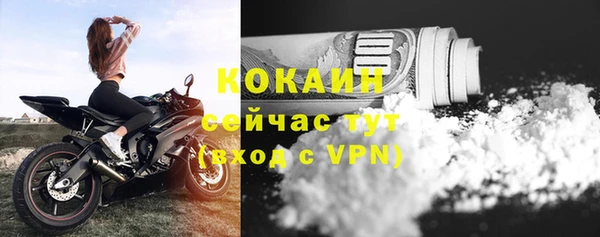 шишки Гусев