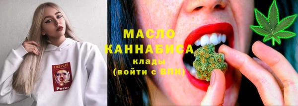 хмурый Гусь-Хрустальный