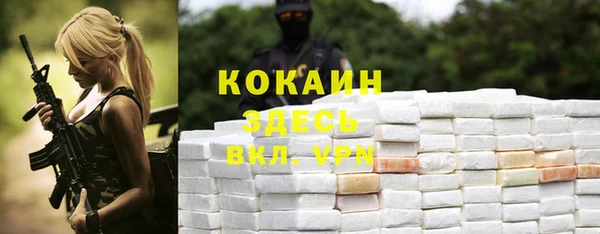 молекула духа Горнозаводск