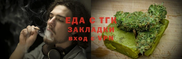 шишки Гусев