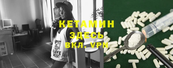 хмурый Гусь-Хрустальный