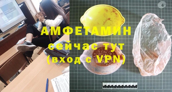 хмурый Гусь-Хрустальный