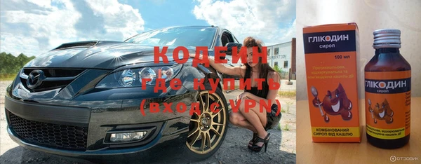 хмурый Гусь-Хрустальный