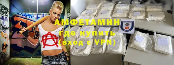 хмурый Гусь-Хрустальный