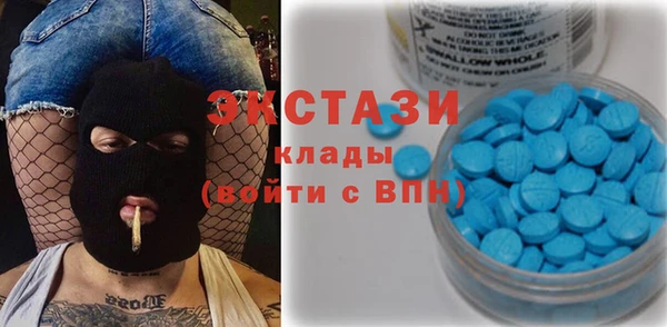 шишки Гусев