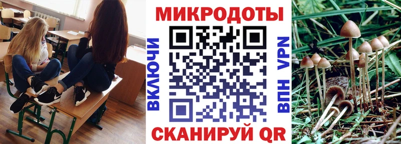 Купить закладки  Кяхта  Галлюциногенные грибы GOLDEN TEACHER 